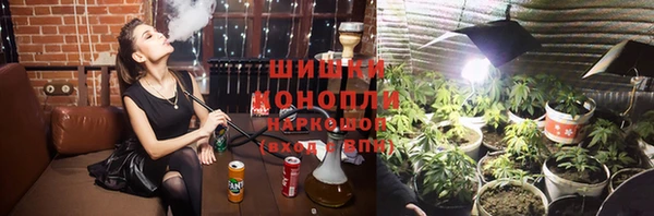 spice Арсеньев