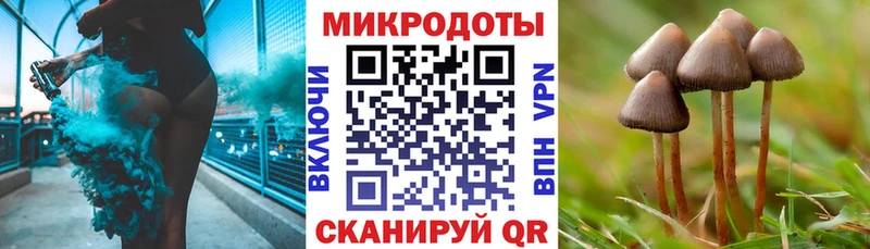 Галлюциногенные грибы ЛСД  Купить где  Тюмень 